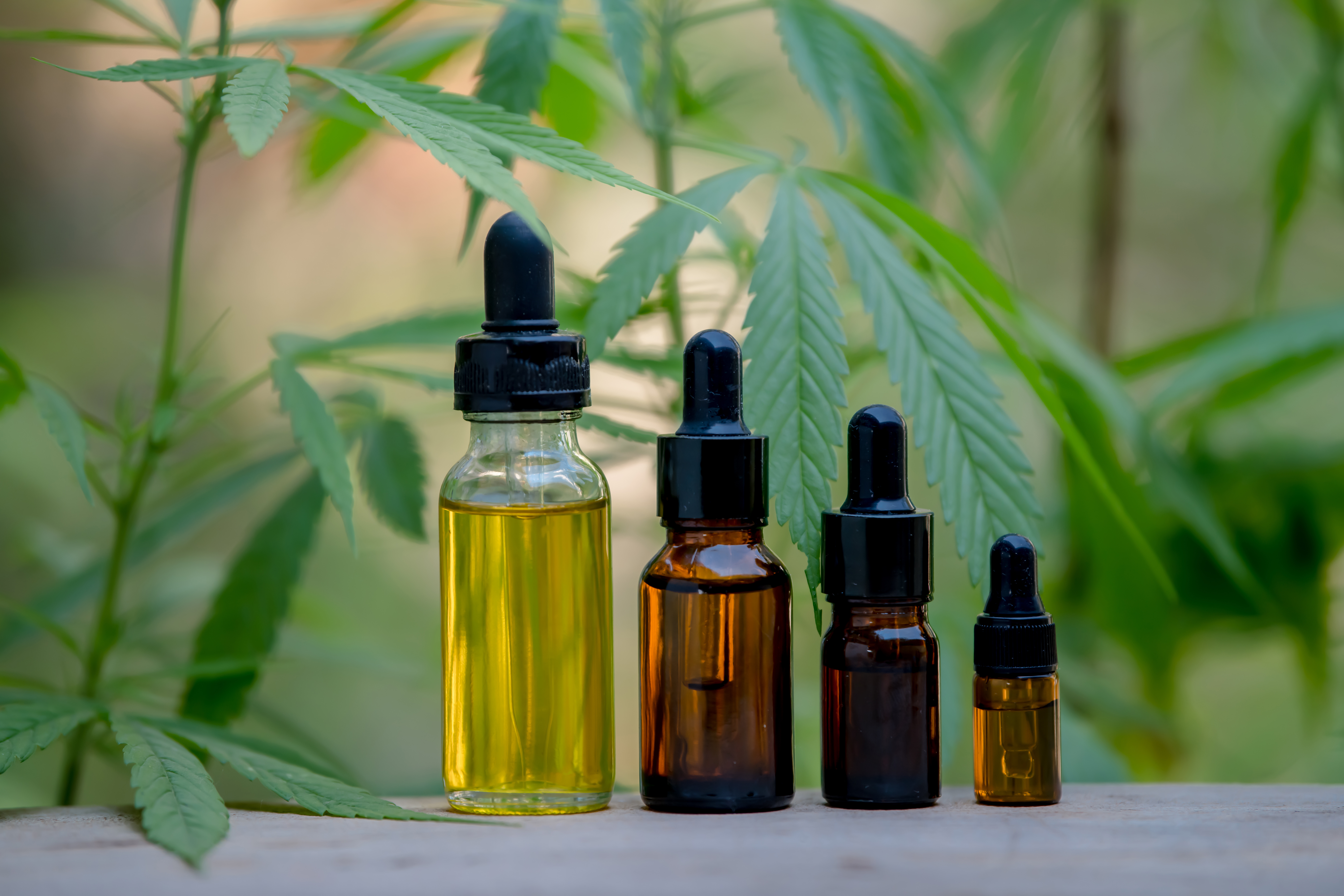 White Label Cannabis Products CBD, Hemp